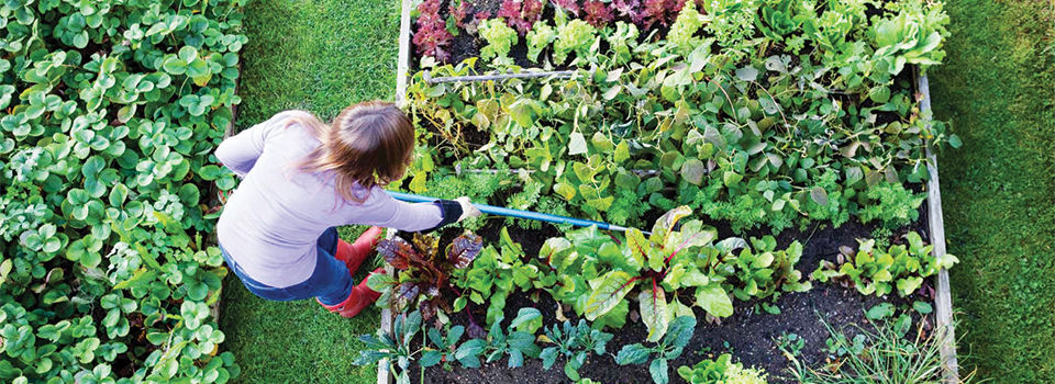 A woman gardening