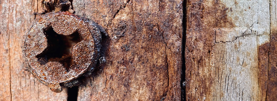 A rusty, stripped screw in a piece of wood