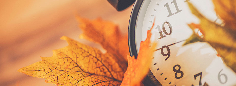 A clock with leaves