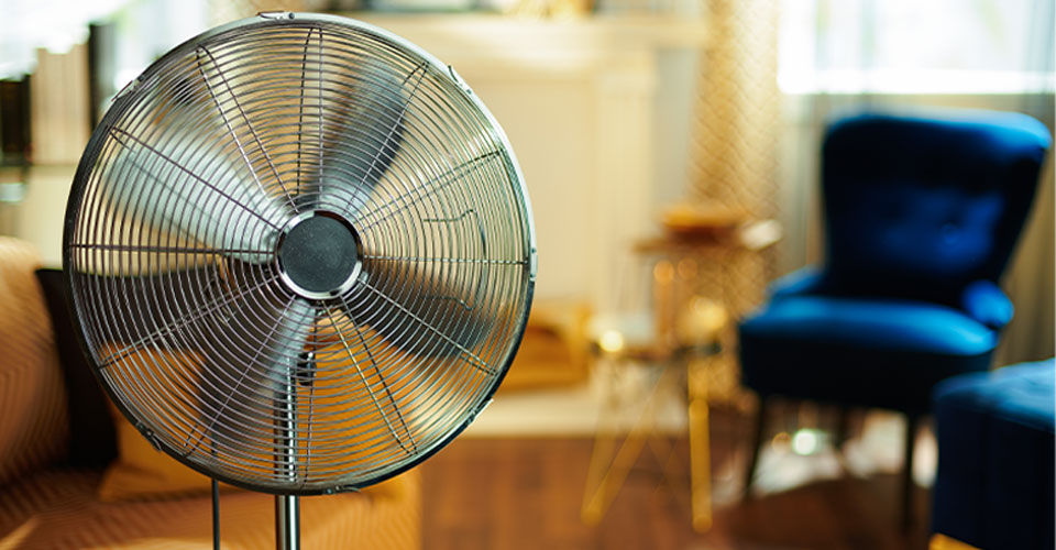 Fan in living room