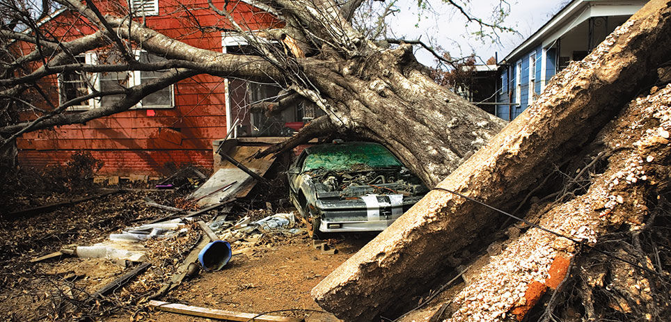 Fallen down trees on a car and house
