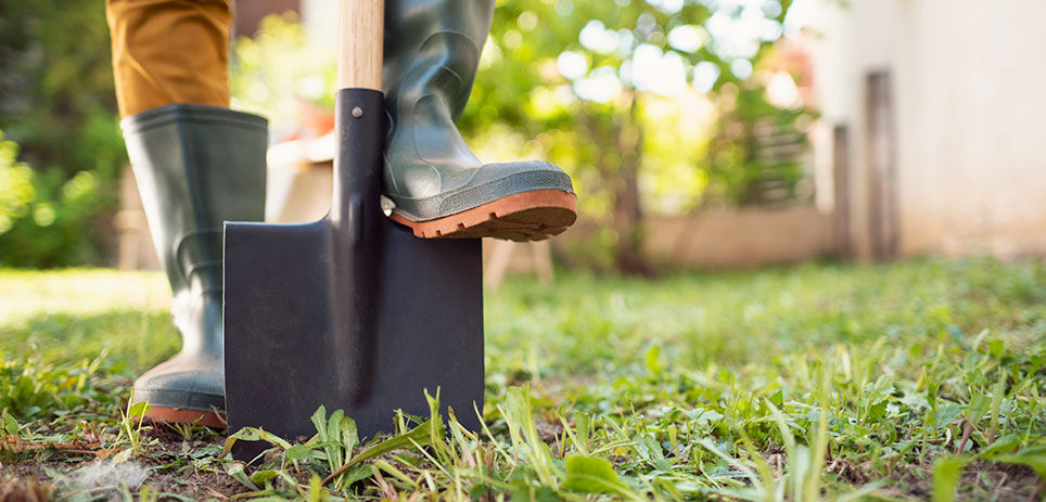 Person standing with rubber boots on a pointed shovel slightly in the soil