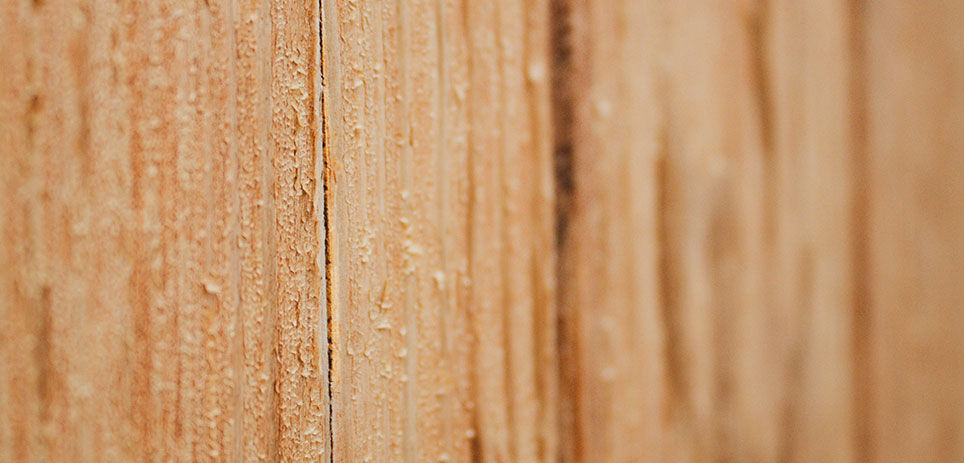 Close-up on a piece of wood