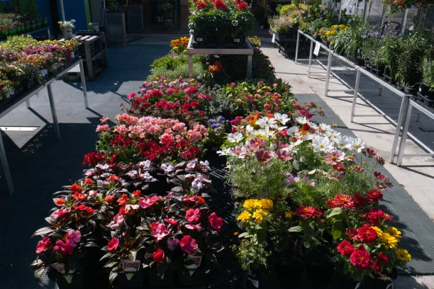 Annuals