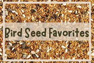 Bird Seed and Supplies