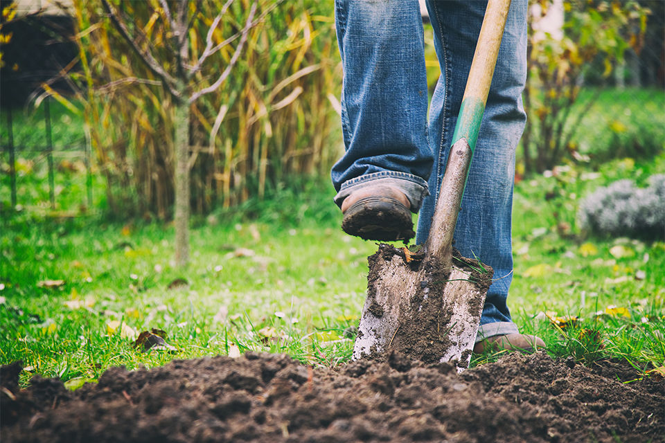 Digging a trench