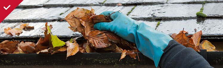A person wearing a blue protective glove reaches into a metal gutter to pull out a large handful of brown, wet autumn leaves sitting against a shingled roof.
