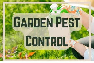 Garden Pest Control
