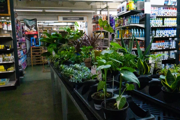 HousePlants