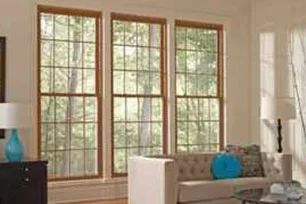 Minnkota Windows