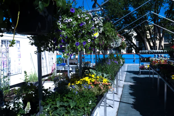 Perennials