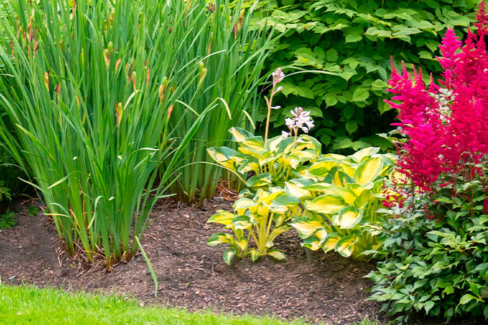 A garden area