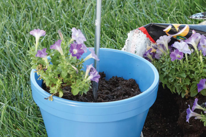 Soil in a planter