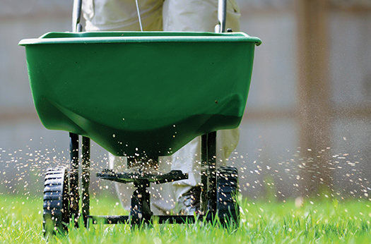 How to Choose the Best Lawn Spreader