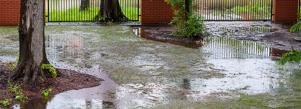 A flooded yard