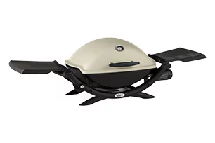 Q2200 Gas Grill