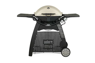 Q3200 Gas Grill