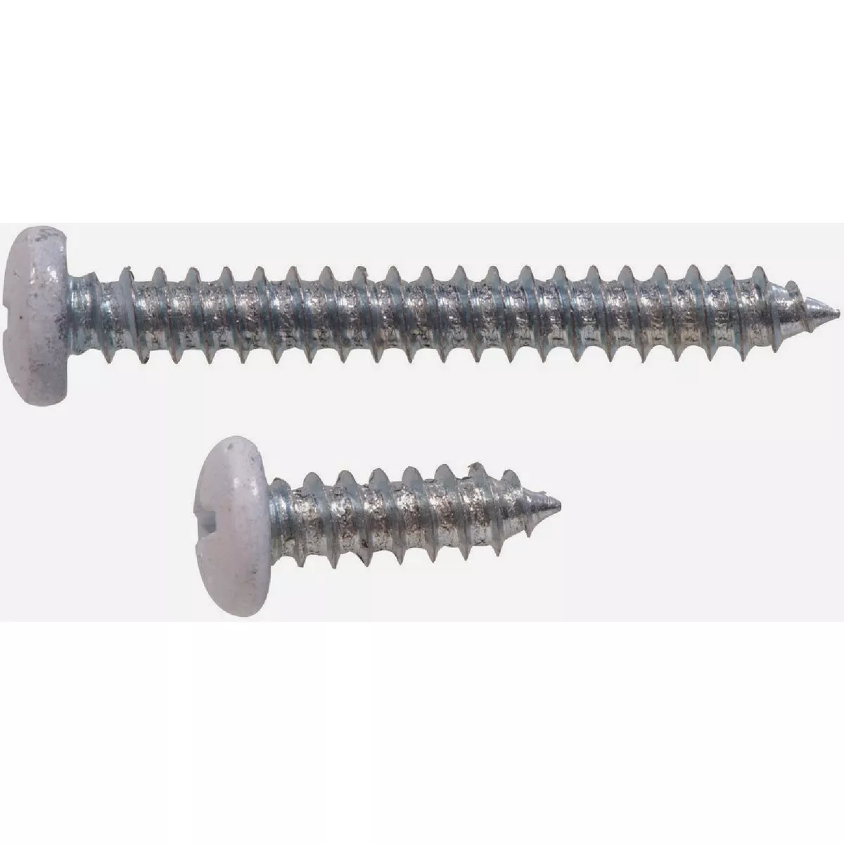 Hardware Essentials #7 x 1/4 In. and 1-1/2 In. White Shelf Bracket Screw (12-Pack) - photo 2