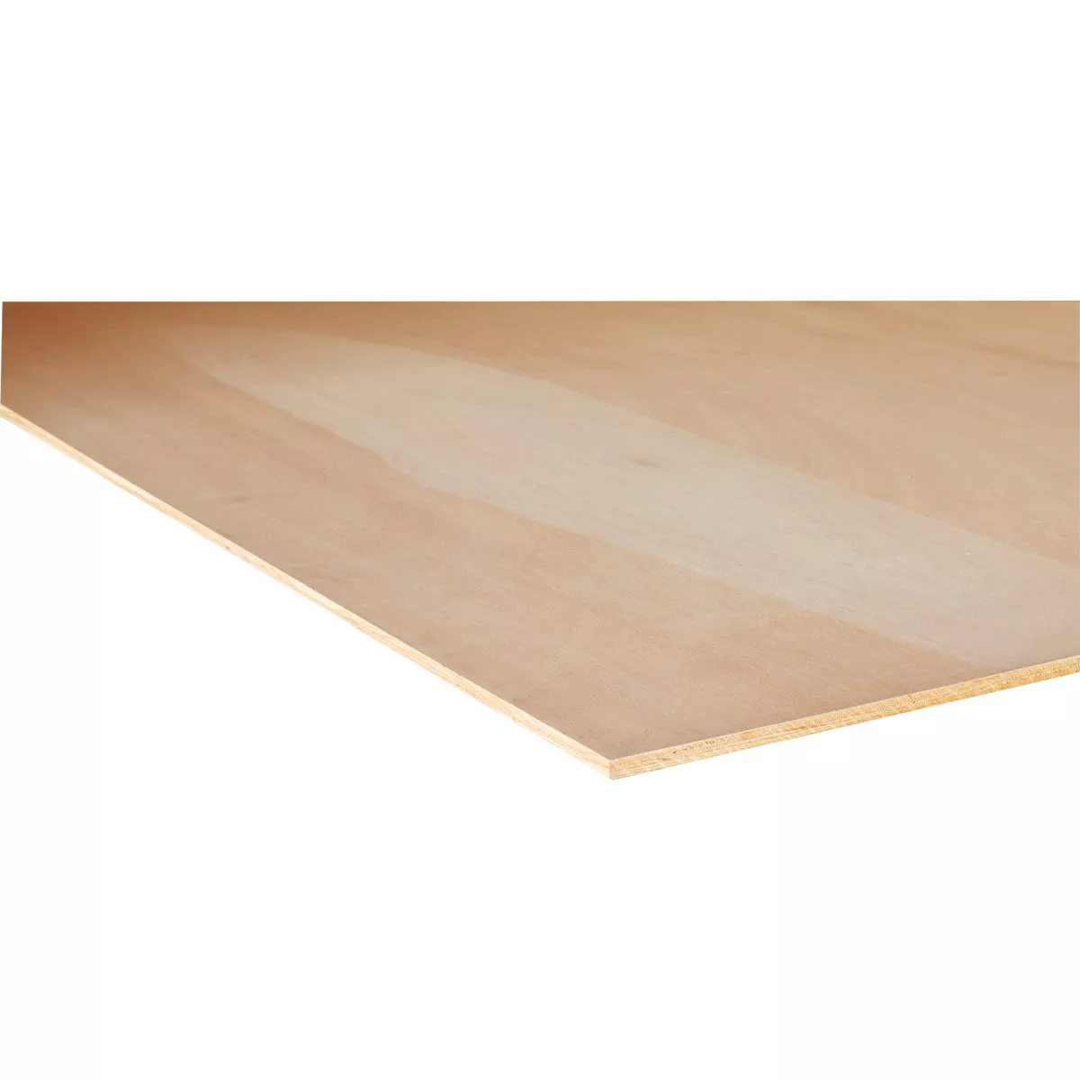 11/32 In. x 4 Ft. x 8 Ft. Sanded Radiata Pine Plywood