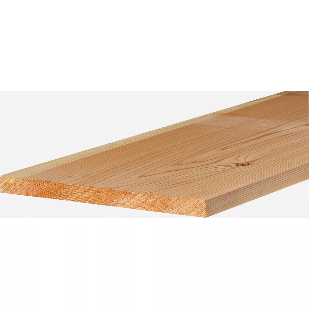 1 In. x 12 In. x 16 Ft. Rough Sawn Cedar Board
