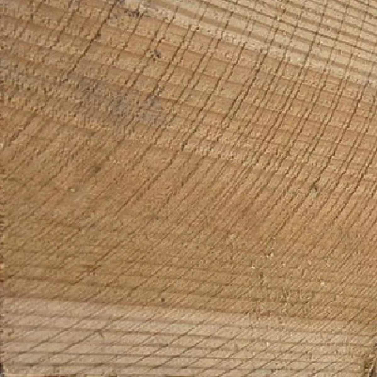 1 In. x 8 In. x 12 Ft. Marine Grade Rough Sawn Treated Lumber - photo 2