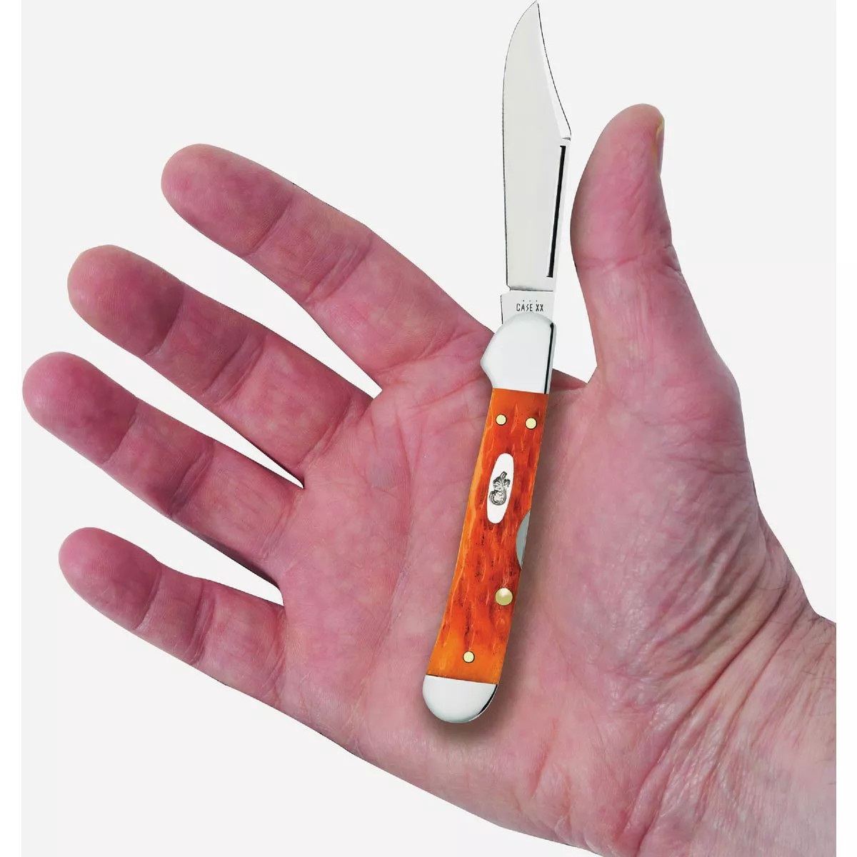 Case Mini CopperLock Peach Seed Jig Persimmon Orange Bone Pocket Knife - photo 2