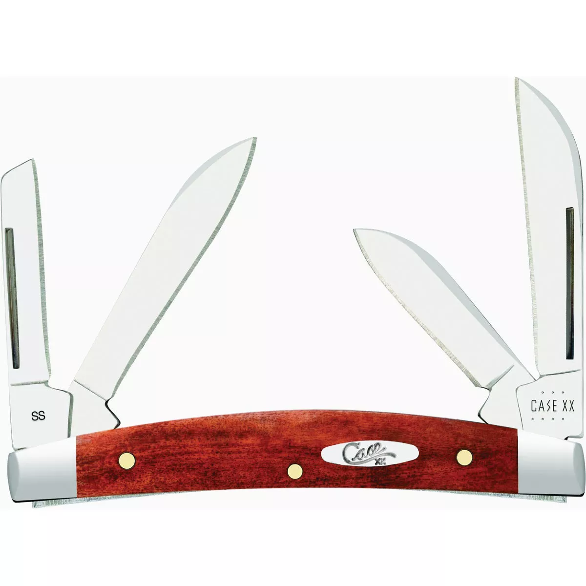 Case Chestnut Bone Smooth Small Congress Pocket Knife-