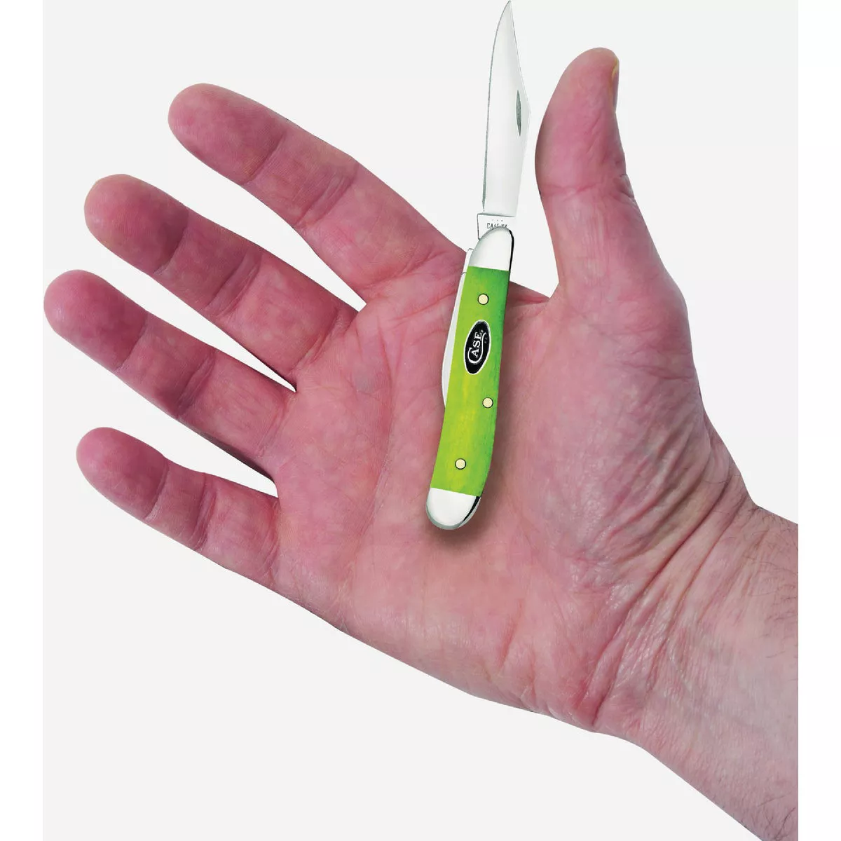 Case 2.1 In. Smooth Green Apple Bone Peanut Pocket Knife - photo 2
