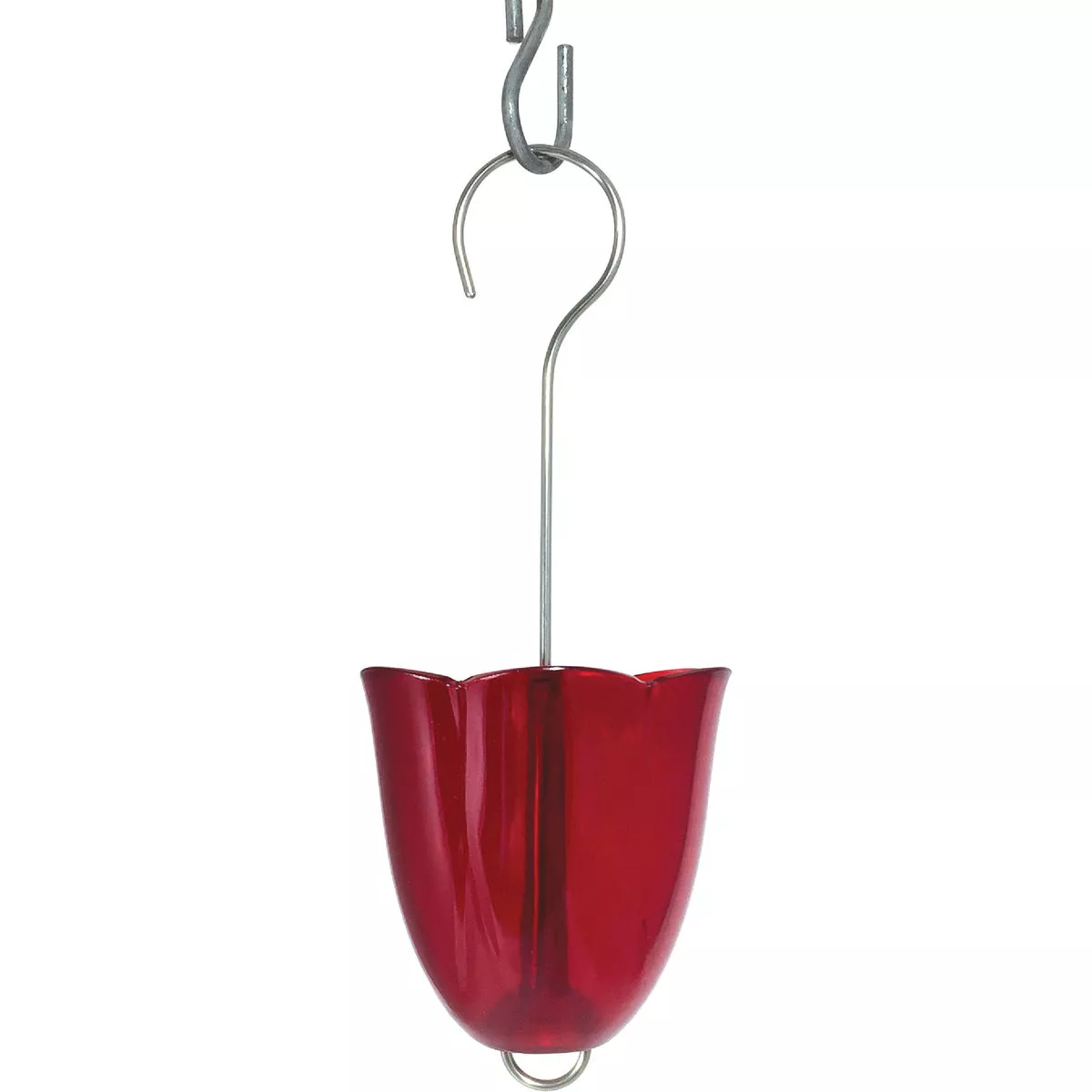 Droll Yankees Red Hummingbird Feeder Ant Moat