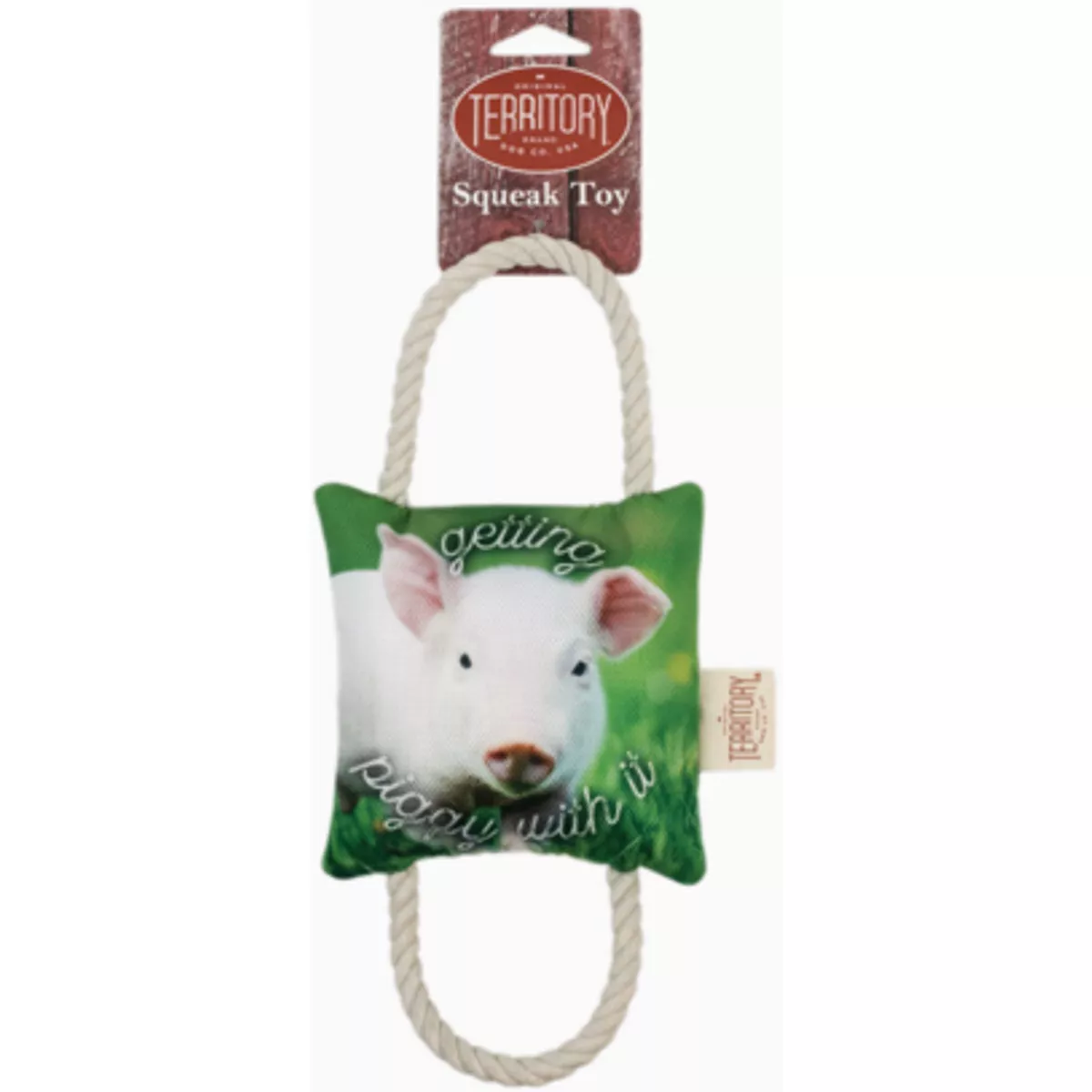 Territory Getting Piggy 2-Way Tug Dog Toy