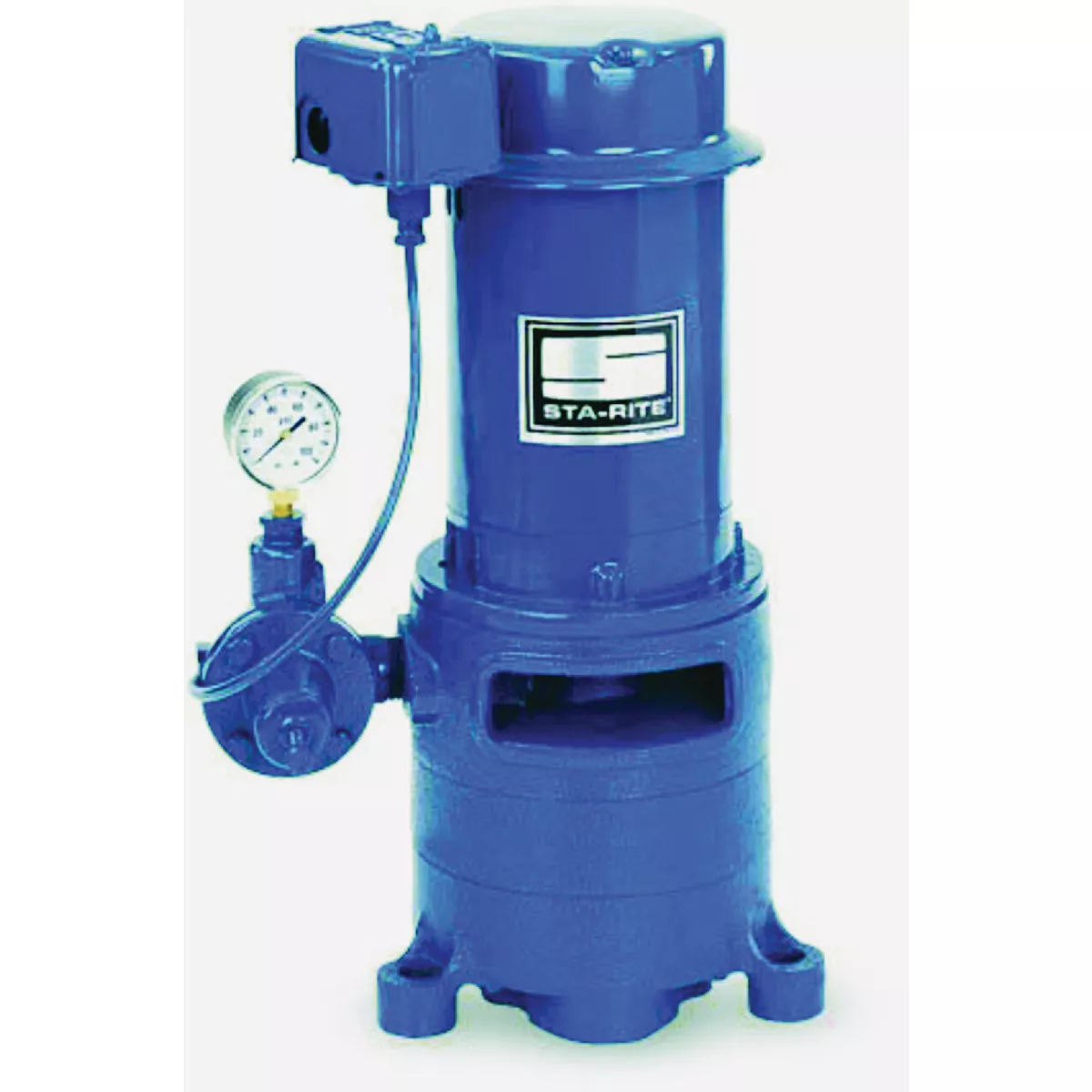 Pentair Sta-Rite MS Series 1 HP Cast Iron Vertical Multi-Stage Jet Pump