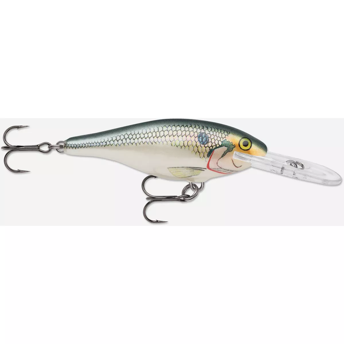 Rapala 2 In. 1/8 Oz.Shad Shad Rap Fishing Lure