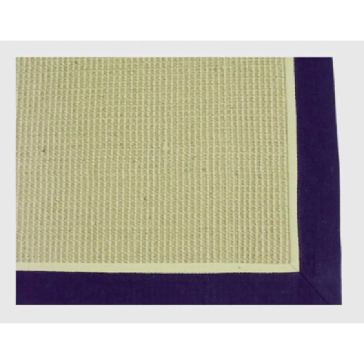 Librett Durables Natural w/Navy Blue Border 24 In. x 36 In. Jute Fiber Accent Rug, Indoor/Outdoor
