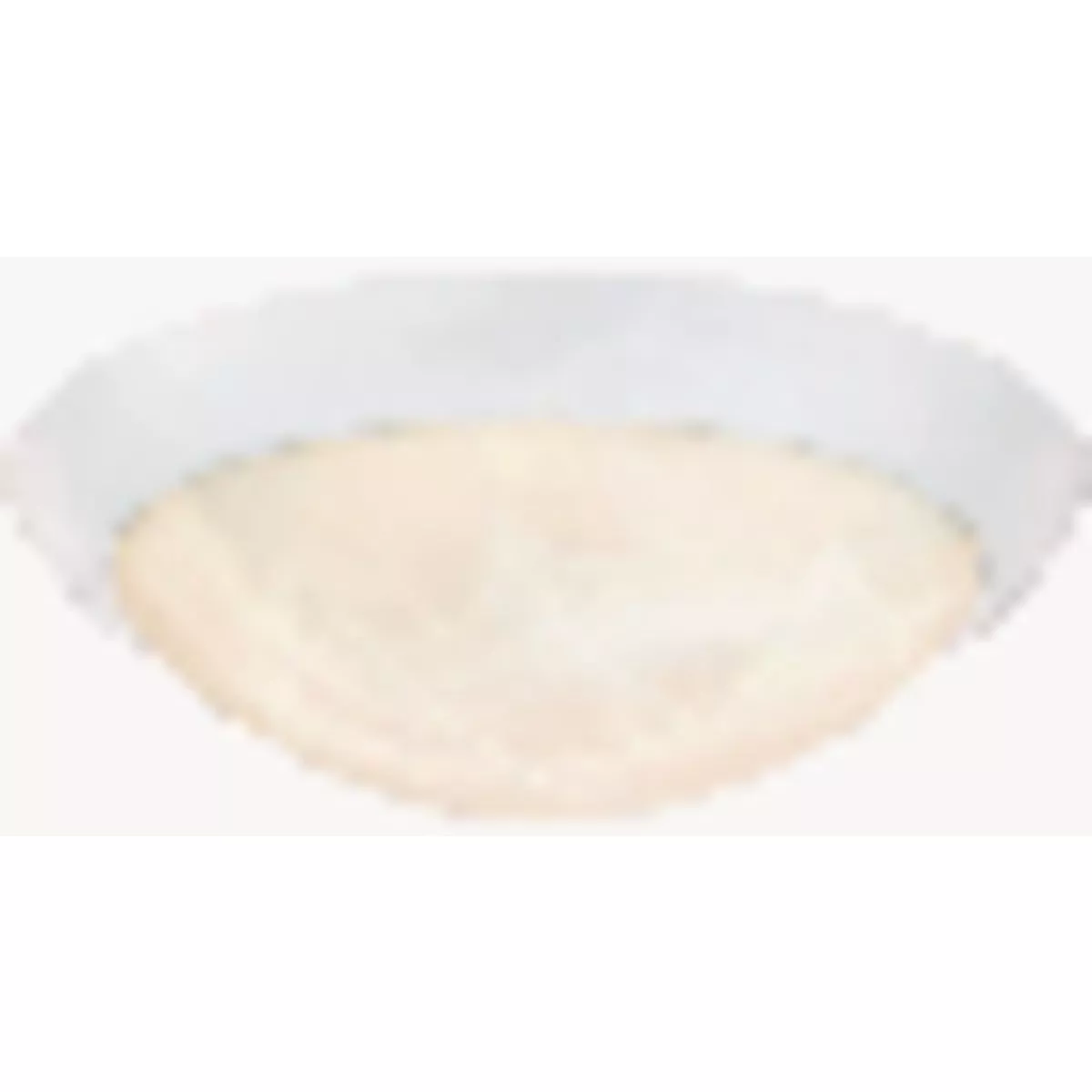 Westinghouse 11 In. White 75W LED Flush Mount Light Fixture