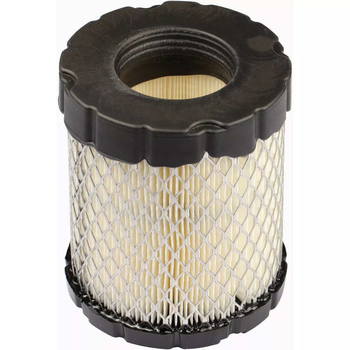 Briggs & Stratton 798897 Air Filter-