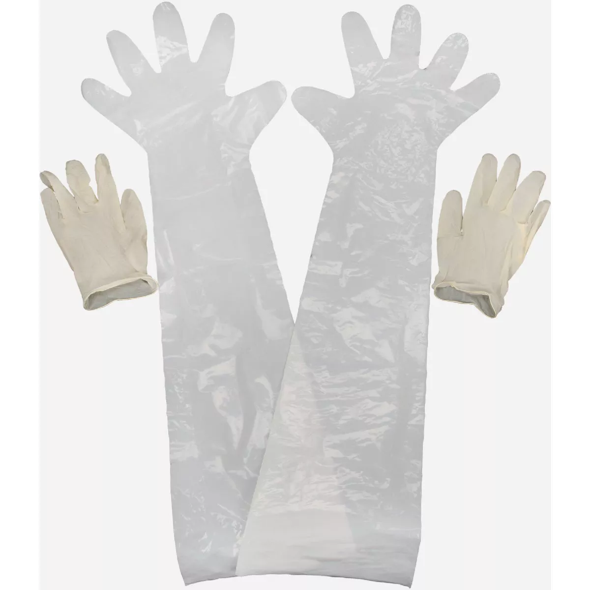Allen Field Dressing Gloves (2-Pack)