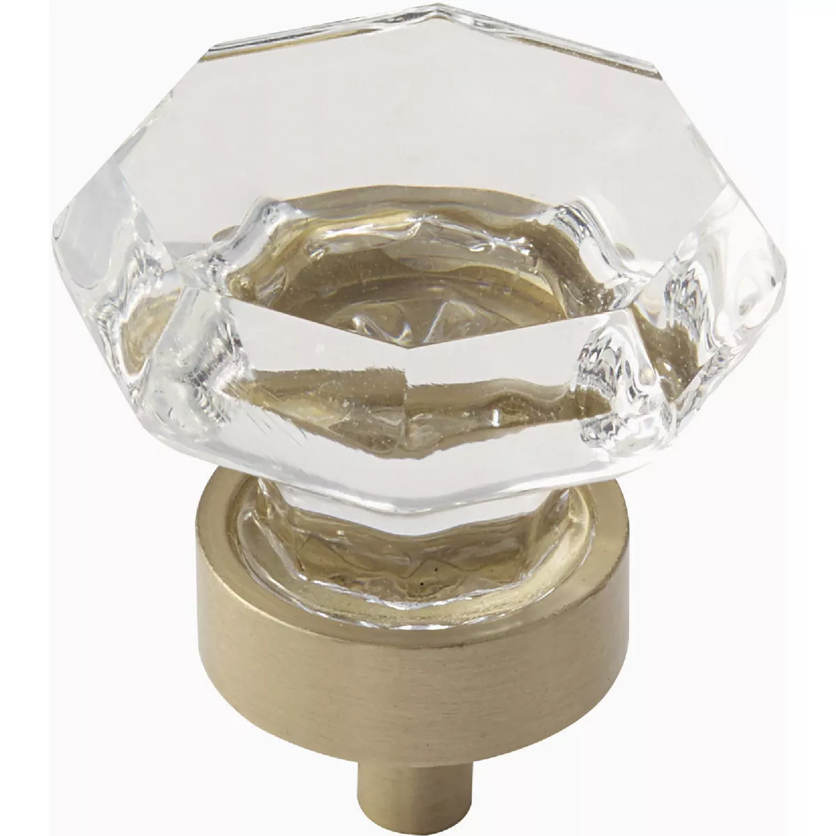 Amerock Traditional Classics Clear/Golden Champagne 1-5/16 In. Cabinet Knob