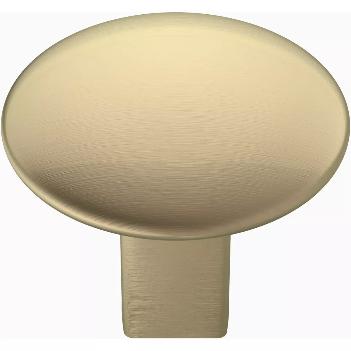 Amerock Riva Golden Champagne 1-1/4 In. Cabinet Knob