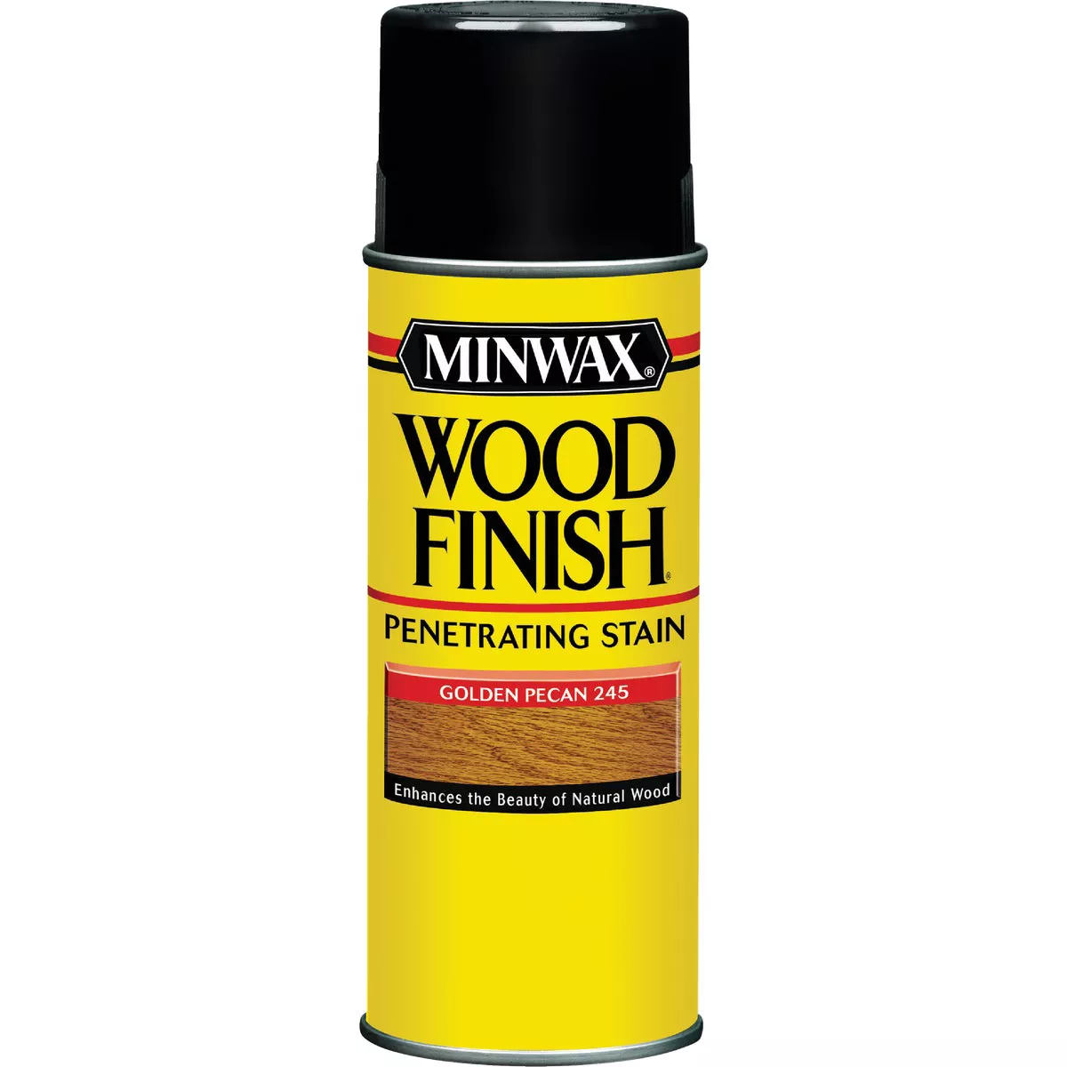 Minwax Wood Finish 11.5 Oz. Interior Spray Stain, Golden Pecan