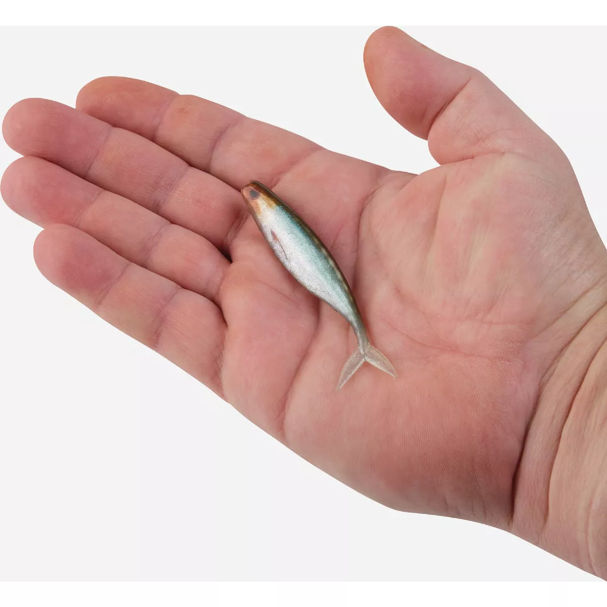 Sporting Goods Fishing Gear Fishing Lures Fishing Lure - photo 2