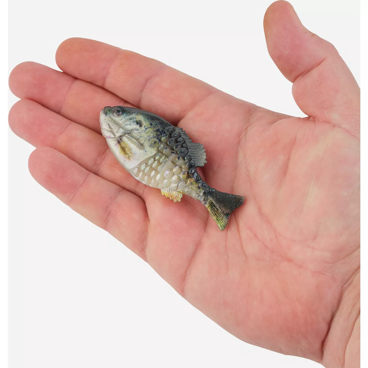 Berkley Power Bait 3.5 In. Bait Size 90 HD Crappie Gilly Fishing Lure (4 Pack)