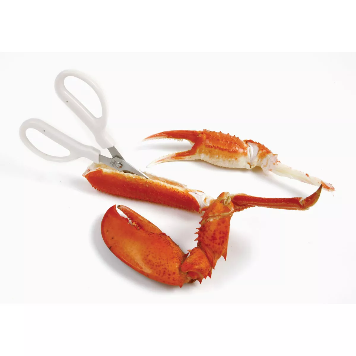 Norpro Shanghai Crab/Lobster Scissors - photo 5