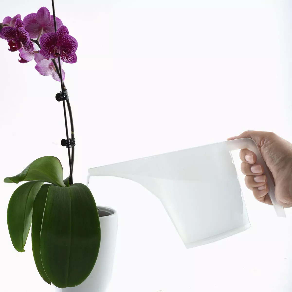 Norpro 3.5-Cup Measuring Funnel Pitcher - photo 3
