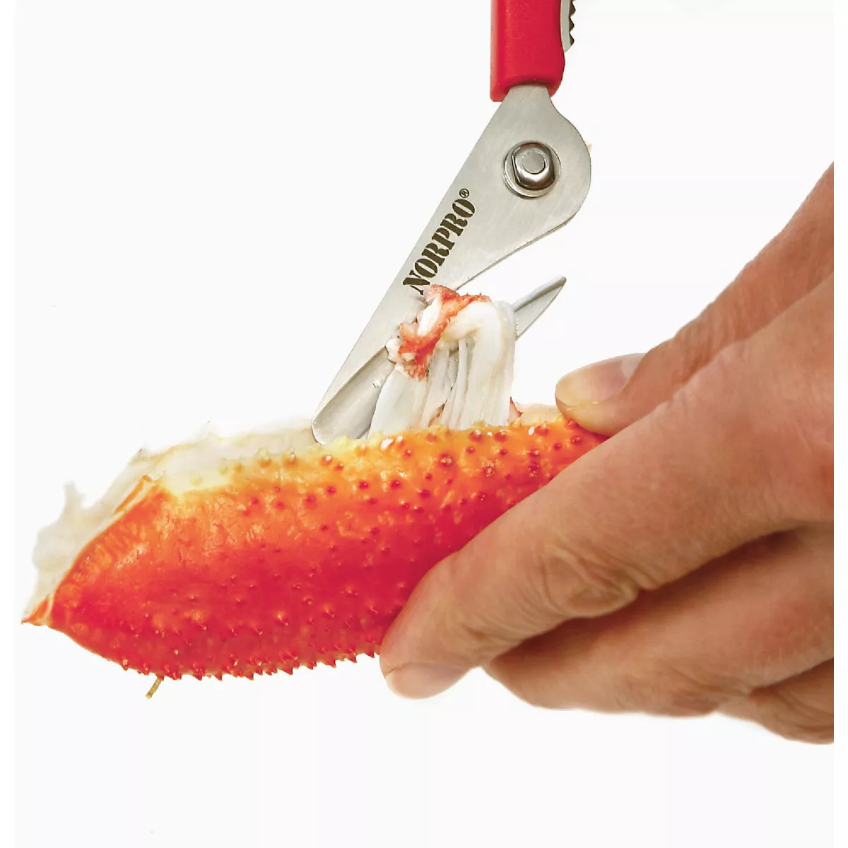 Norpro Ultimate Seafood Shears - photo 6