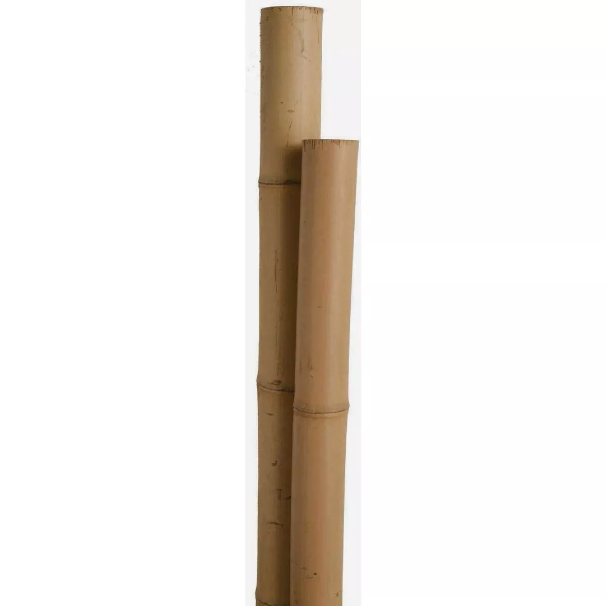 Miracle-Gro 3 Ft. Packaged Bamboo Stakes (12-Pack)