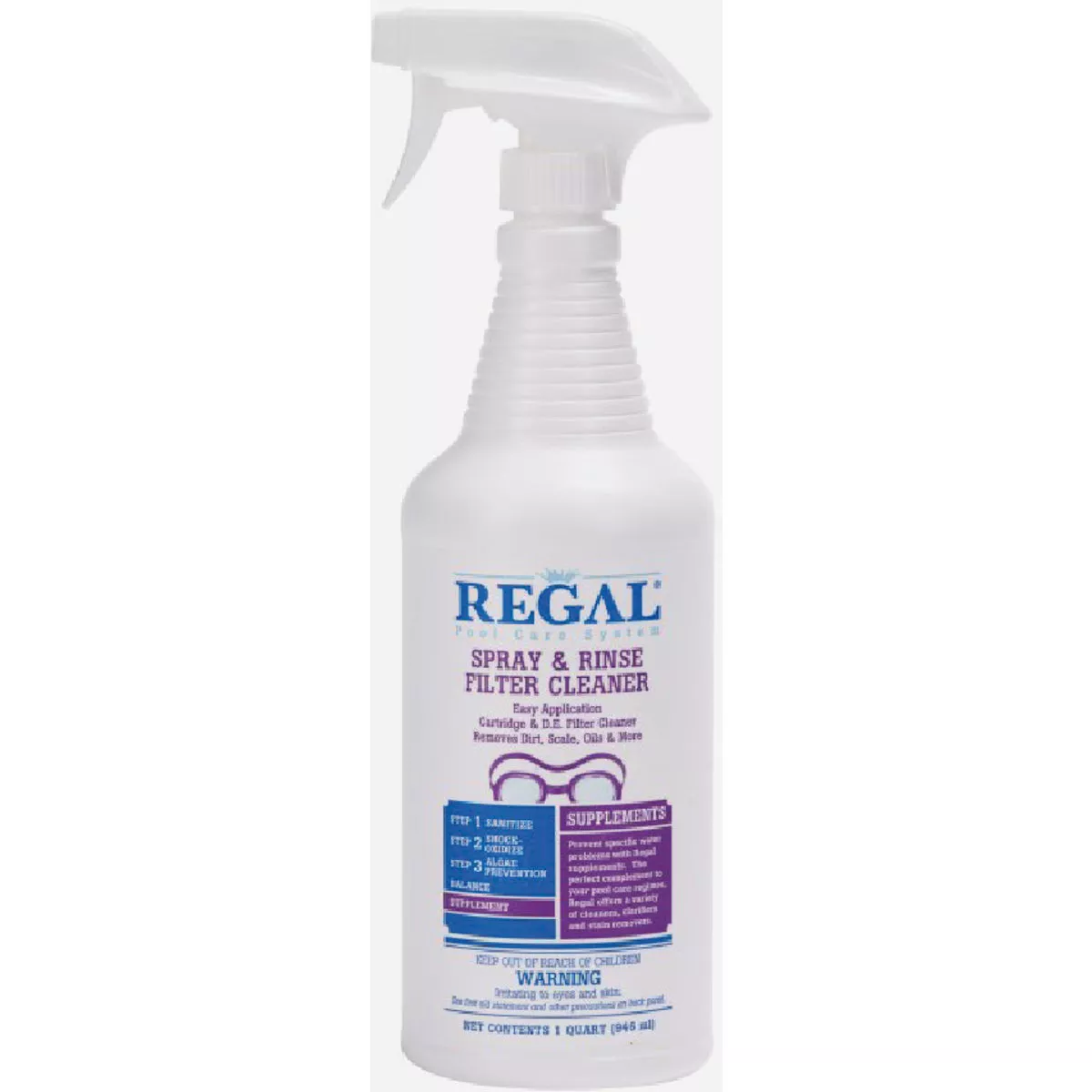 Regal Chemicals 1 Qt. Spray & Rinse Filter Cleaner