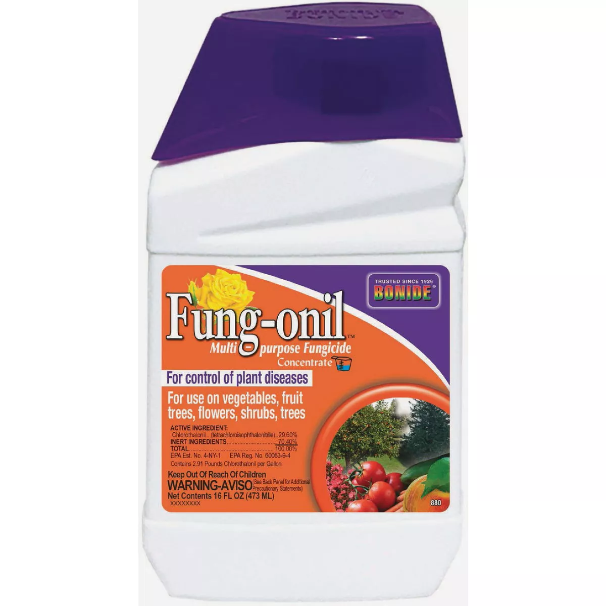 Bonide Fung-onil 1 Pt. Fungicide