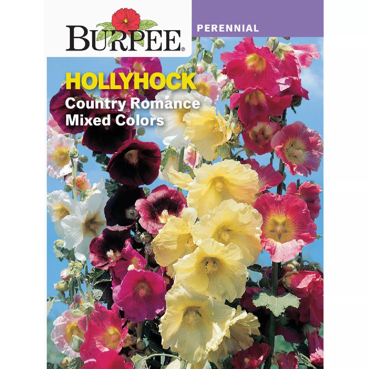 Burpee Heirloom Hollyhock Country Romance Mixed Colors Seed Packet