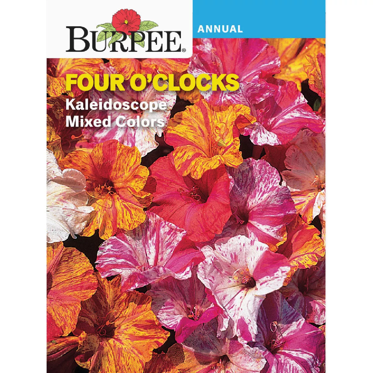 Burpee Four O'Clocks Kaleidoscope Mixed Colors Seed Packet