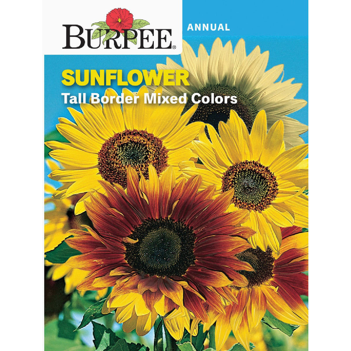 Burpee Sunflower Tall Border Mixed Colors Seed Packet | Do it Best